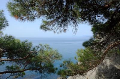 Прикрепленное изображение: н1.jpg